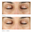 Murad Vita-C Eyes Dark Circle Corrector
